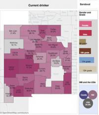 Youth Risk & Resiliency Survey